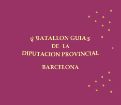 [Colour of the 1st Battalion of Guides of the Barcelona Provincial Government 1873 (Spain)]